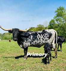 OL Primaryland Black